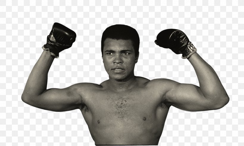 Muhammad Ali 1960 Summer Olympics Boxing Sport Professional Boxer, PNG, 954x573px, 1960 Summer Olympics, Muhammad Ali, Aggression, Arm, Boxing Download Free