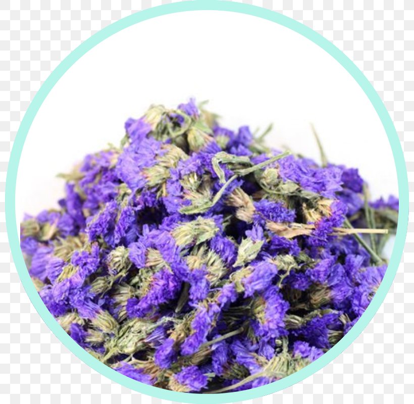 English Lavender Flowering Tea Chamomile Calendula Officinalis, PNG, 800x800px, English Lavender, Blue, Calendula Officinalis, Chamomile, Cobalt Blue Download Free