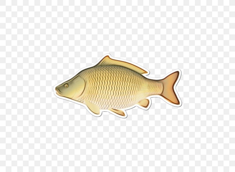 Fish Fish Carp Bony-fish Ray-finned Fish, PNG, 600x600px, Watercolor, Bonyfish, Carp, Cyprinidae, Fish Download Free