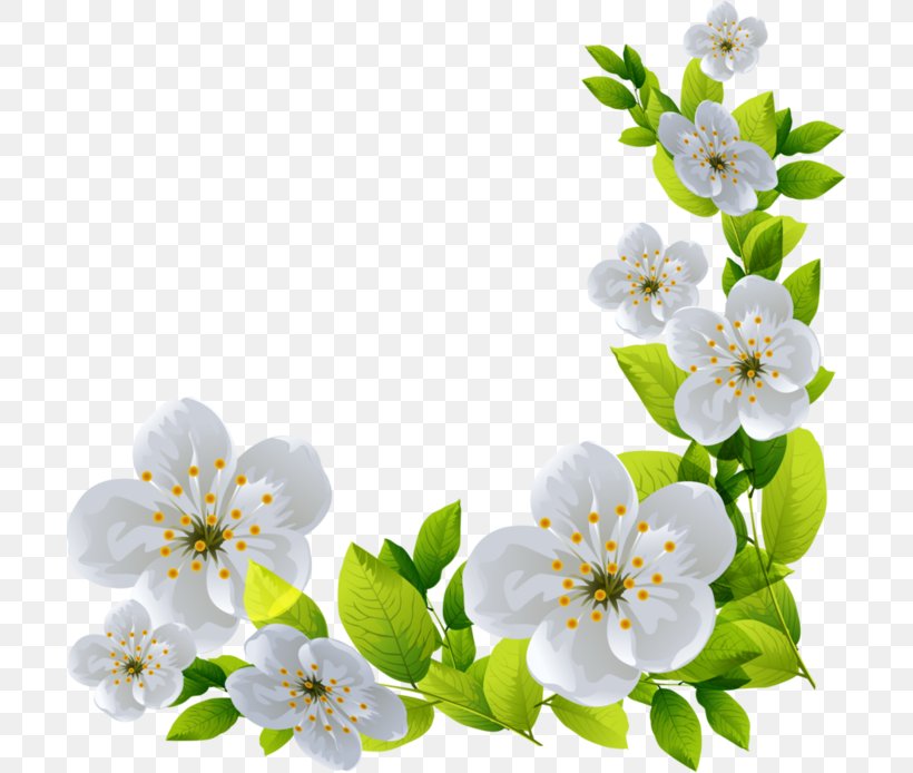 Flower Clip Art, PNG, 699x694px, Flower, Art, Blossom, Blume, Branch Download Free