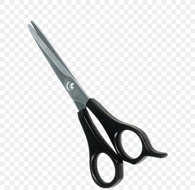 Cat Dog Personal Grooming Scissors Flea, PNG, 800x800px, Cat, Accessoire, Brush, Comb, Dog Download Free