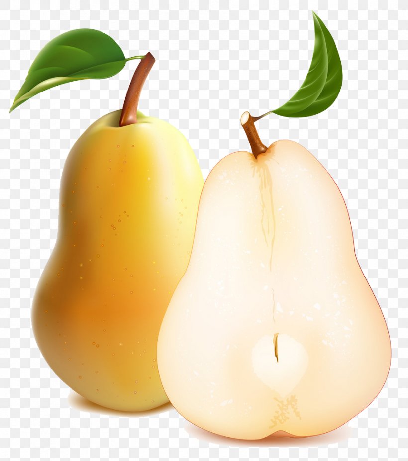 Pear Illustration, PNG, 905x1024px, Pear, Apple, Cartoon, Drawing, Food Download Free