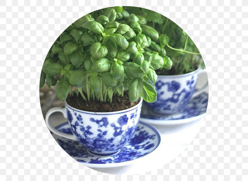 Apartment Garden House Herb Plants, PNG, 600x600px, Apartment, Back Garden, Bonsai, Container Garden, Flowerpot Download Free