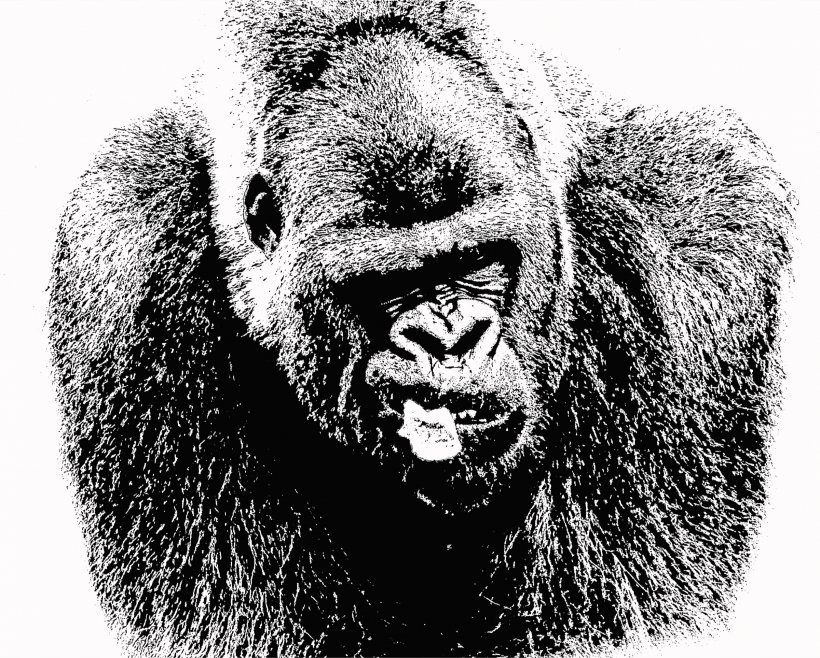 Common Chimpanzee Primate Western Lowland Gorilla Drawing, PNG, 2400x1928px, Common Chimpanzee, Animal, Ape, Bear, Black And White Download Free