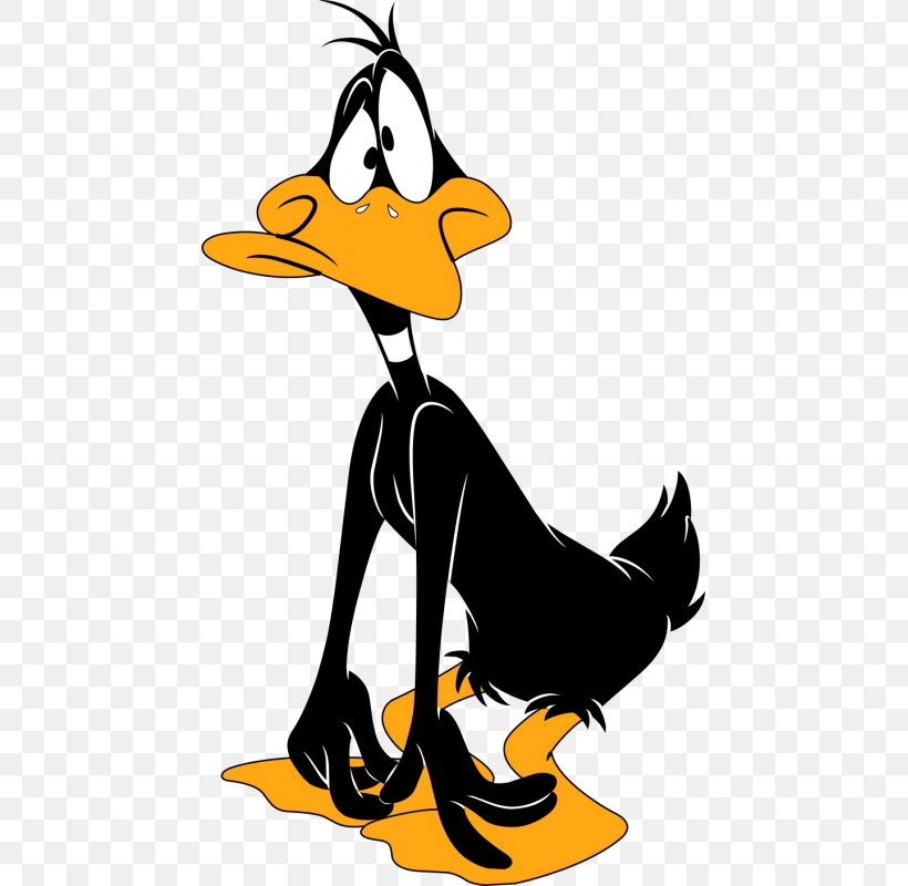 Daffy Duck Cartoon Bugs Bunny Desktop Wallpaper, PNG, 800x800px, Daffy Duck, Artwork, Beak, Bird, Black And White Download Free