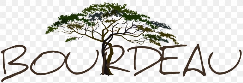 Twig Savannah Tree Foundation Clip Art, PNG, 1636x563px, Twig, Black And White, Branch, Brand, Calligraphy Download Free