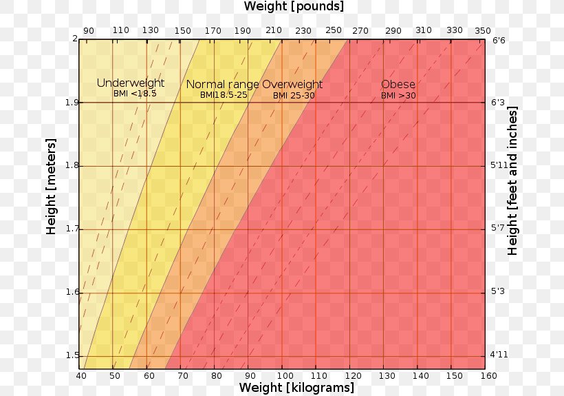 Weight And Height Percentile Body Mass Index Growth Chart Human