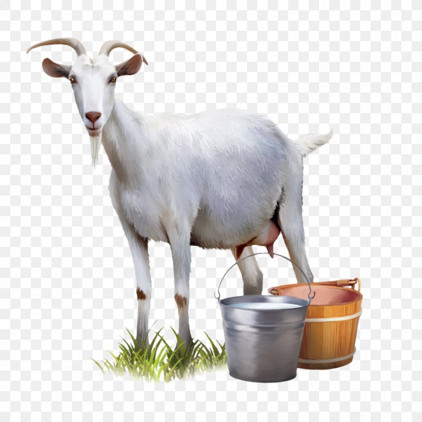 Goat Milk Goat Milk Cattle Sheep, PNG, 1024x1024px, Goat, Automatic Milking, Cattle, Cattle Like Mammal, Cow Goat Family Download Free