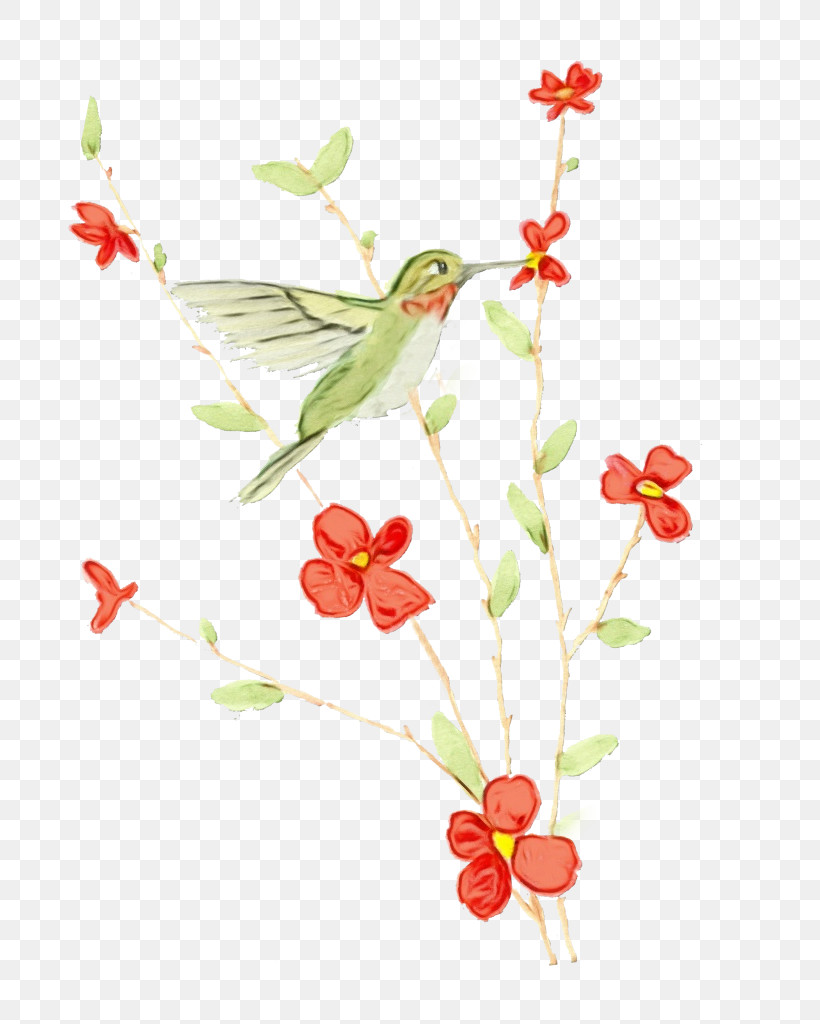 Hummingbird, PNG, 731x1024px, Watercolor, Branch, Flower, Hummingbird, Paint Download Free