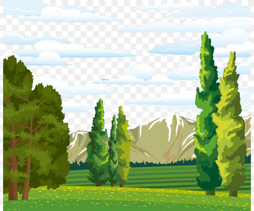 Landscape Forest Euclidean Vector Tree, PNG, 800x680px, Landscape, Art, Biome, Cloud, Conifer Download Free