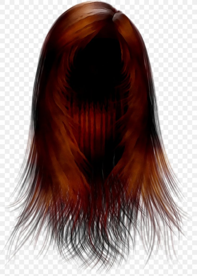 Long Hair Hair Coloring Brown Hair, PNG, 911x1276px, Hair, Bangs, Black Hair, Brown, Brown Hair Download Free