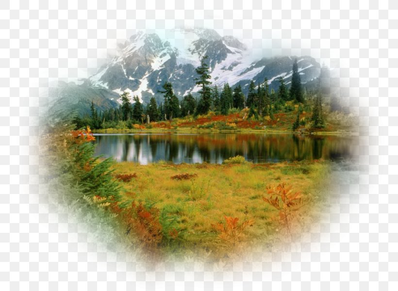 Mount Shuksan Mount Rainier Mount Baker Mountain Desktop Wallpaper, PNG, 800x600px, Mount Shuksan, Bank, Cascade Range, Grass, Hill Station Download Free