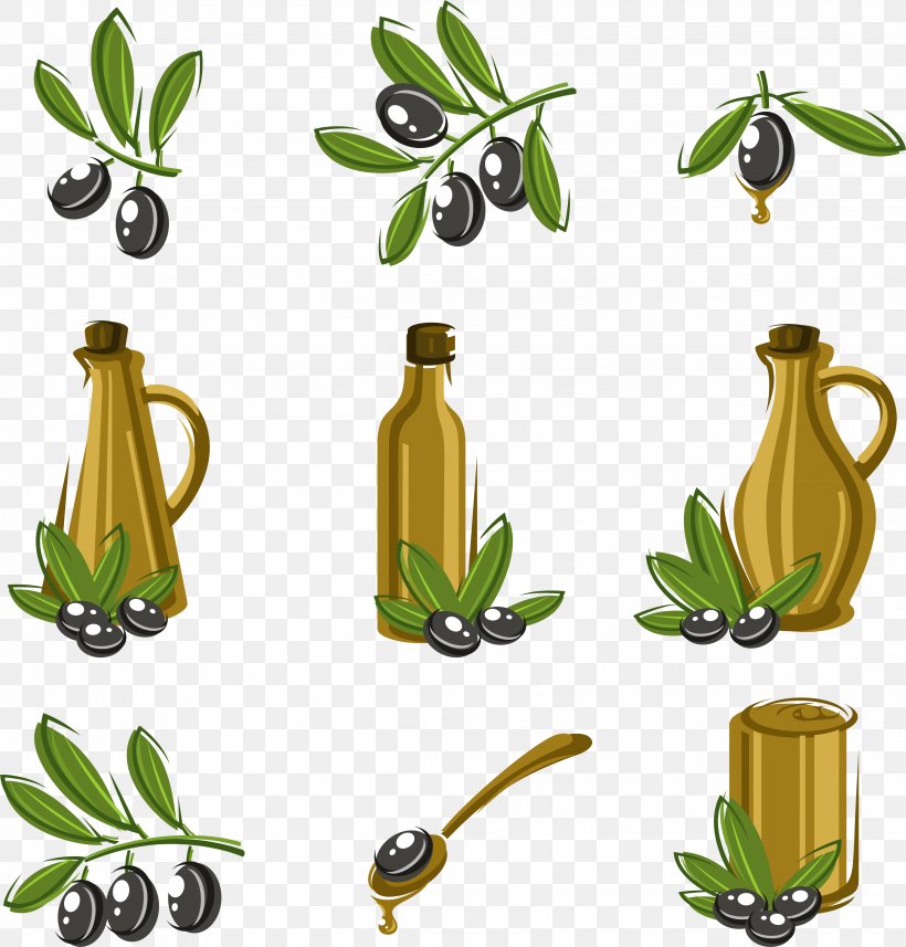 Olive Oil Euclidean Vector, PNG, 4438x4640px, Olive Oil, Bottle, Chinese Olive Tree, Cooking Oil, Flower Download Free