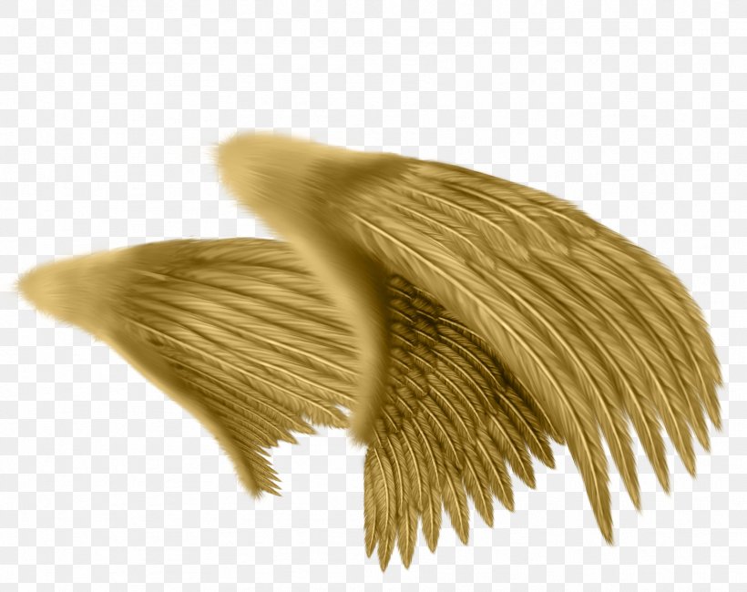 Drawing Angel Feather Photography, PNG, 1769x1404px, Wing, Angel, Art, Deviantart, Drawing Download Free