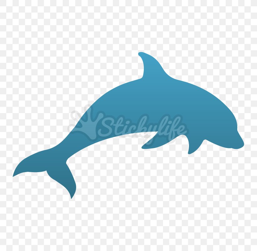Common Bottlenose Dolphin Tucuxi Rough-toothed Dolphin Marine Biology, PNG, 799x799px, Common Bottlenose Dolphin, Biology, Bottlenose Dolphin, Dolphin, Fauna Download Free