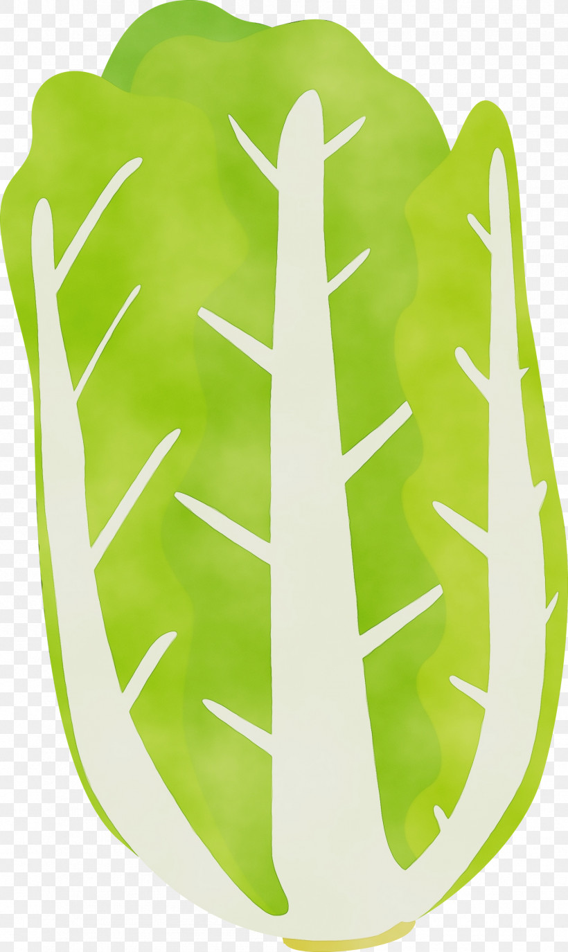 Green Yellow Leaf, PNG, 1788x2999px, Nappa Cabbage, Green, Leaf, Paint, Watercolor Download Free