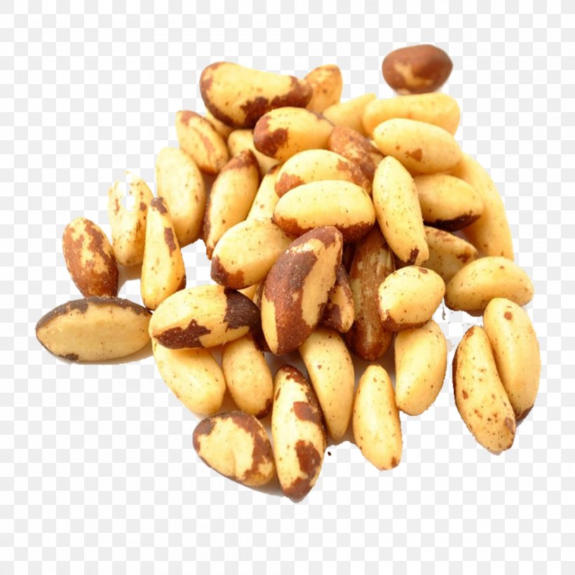 Nut Roast Food Brazil Nut Peanut, PNG, 1000x1000px, Nut, Brazil Nut, Commodity, Food, Hazelnut Download Free