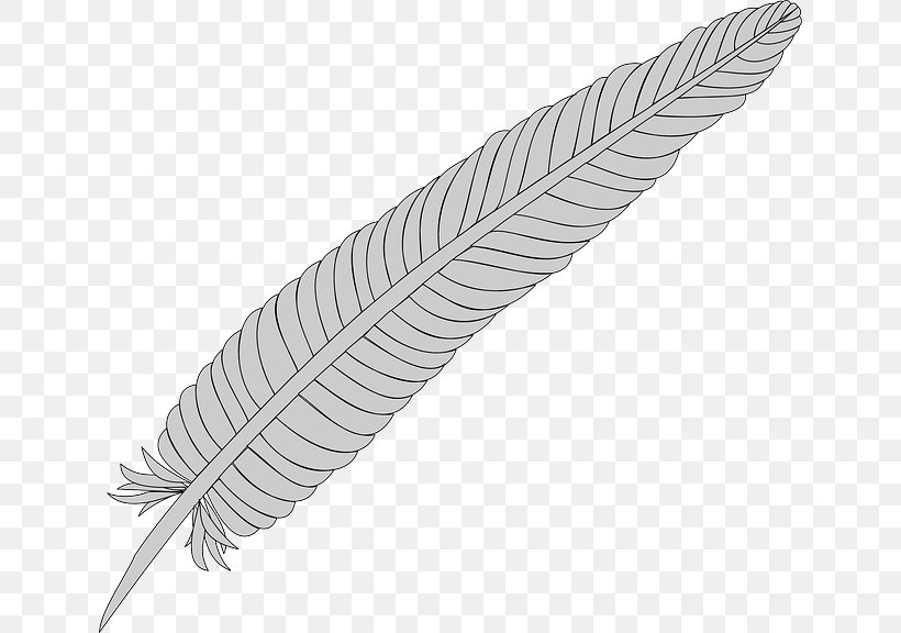 Bird Feather Clip Art Pheasant Ringneck, PNG, 640x576px, Bird, Black And White, Drawing, Eagle Feather Law, Feather Download Free