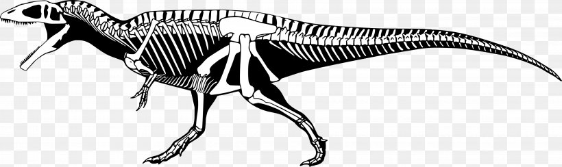 Carcharodontosaurus Mapusaurus Giganotosaurus Tyrannosaurus Acrocanthosaurus, PNG, 3650x1089px, Carcharodontosaurus, Acrocanthosaurus, Allosaurus, Black And White, Carcharodontosauridae Download Free