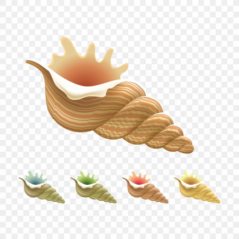 Conch Seashell Clip Art, PNG, 1181x1181px, Conch, Drawing, Food, Graphic Arts, Junk Food Download Free