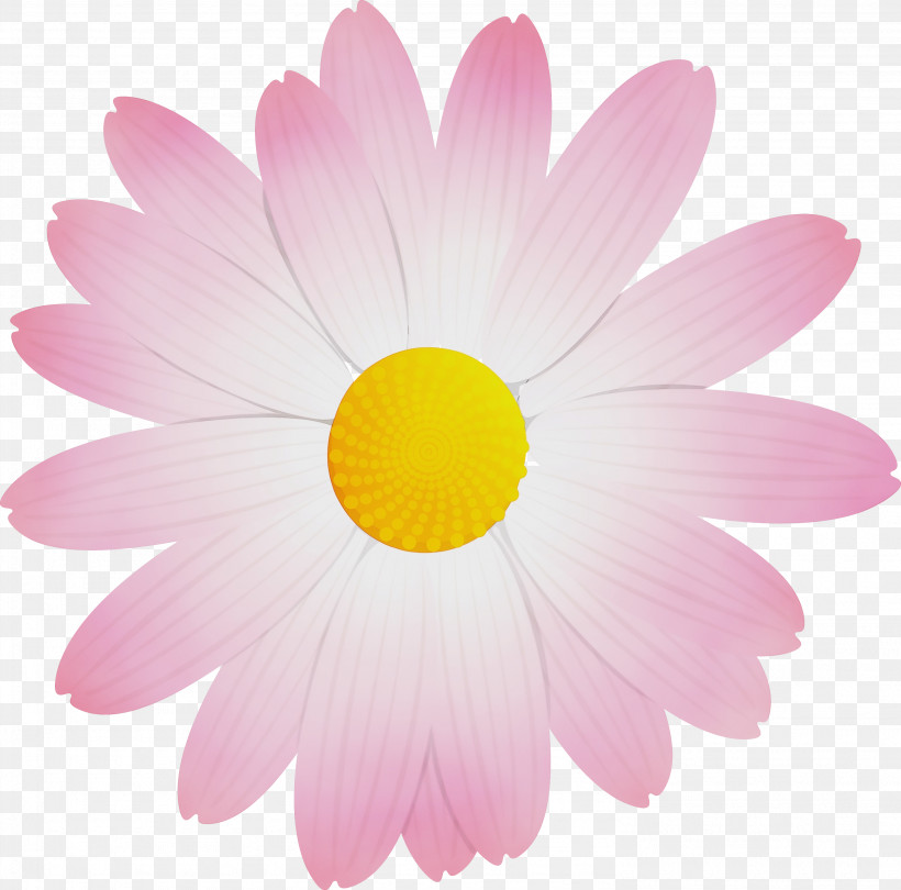 Daisy, PNG, 2968x2933px, Marguerite Flower, Aster, Barberton Daisy, Camomile, Chamomile Download Free