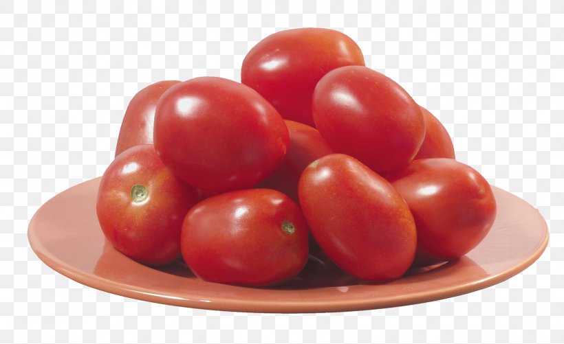 Plum Tomato Tomato Juice Cherry Tomato Sweet And Sour Bush Tomato, PNG, 1628x996px, Plum Tomato, Auglis, Berry, Bush Tomato, Cherry Tomato Download Free