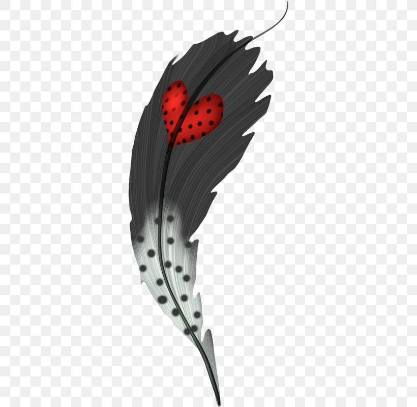 Red Feathers White Feather Red & White Clip Art, PNG, 315x800px, Feather, Leaf, Petal, Red Feathers, Red White Download Free