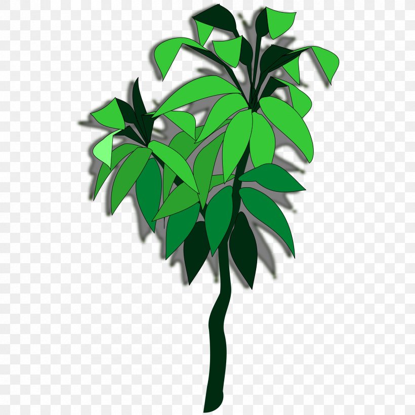 Tree Branch Flowerpot Houseplant Leaf, PNG, 2400x2400px, Tree, Branch, Flowerpot, Houseplant, Leaf Download Free