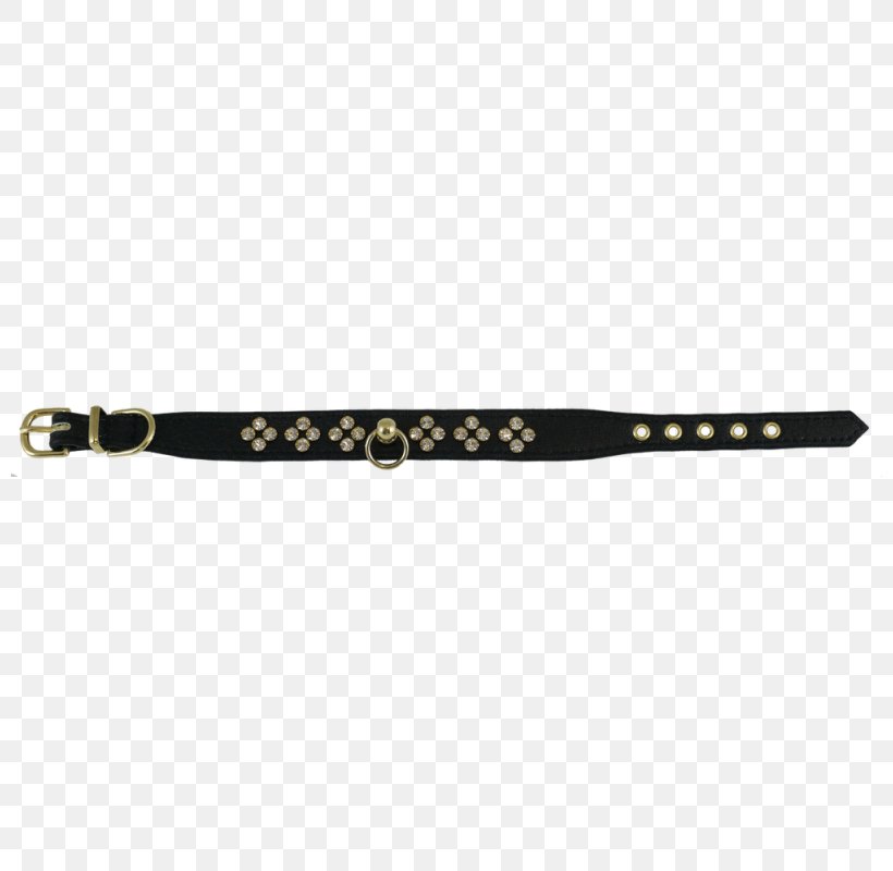 Belt Dog Collar Leash, PNG, 800x800px, Belt, Black, Black M, Collar, Dog Download Free