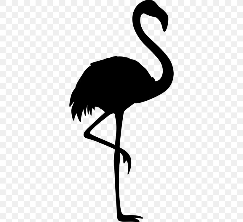 Bird Clip Art Beak Fauna Silhouette, PNG, 352x750px, Bird, Beak, Crane, Cranelike Bird, Emu Download Free