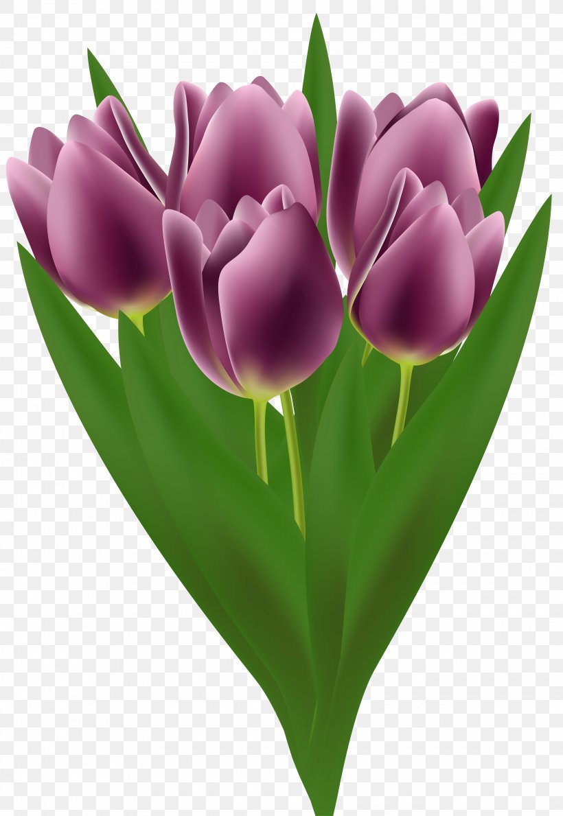 Flower Bouquet Tulip Clip Art, PNG, 3915x5681px, Flower Bouquet, Bride, Color, Cut Flowers, Flower Download Free