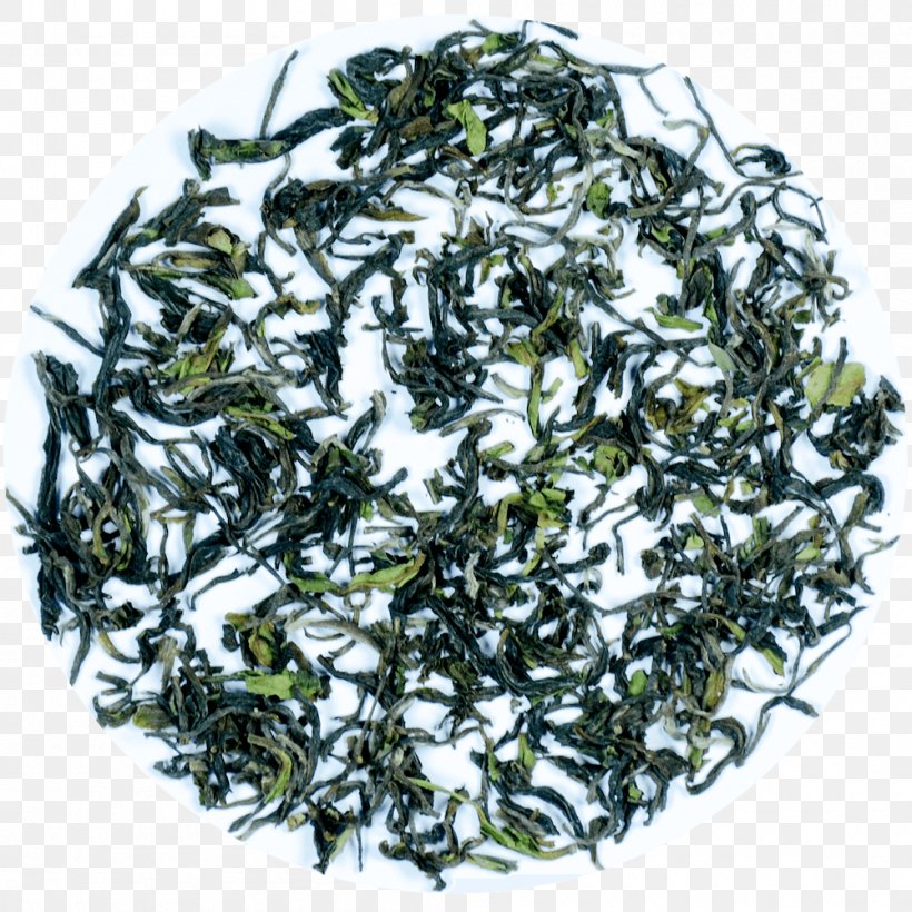 Nilgiri Tea Darjeeling Tea Assam Tea White Tea, PNG, 1000x1000px, Nilgiri Tea, Assam Tea, Bai Mudan, Bancha, Biluochun Download Free