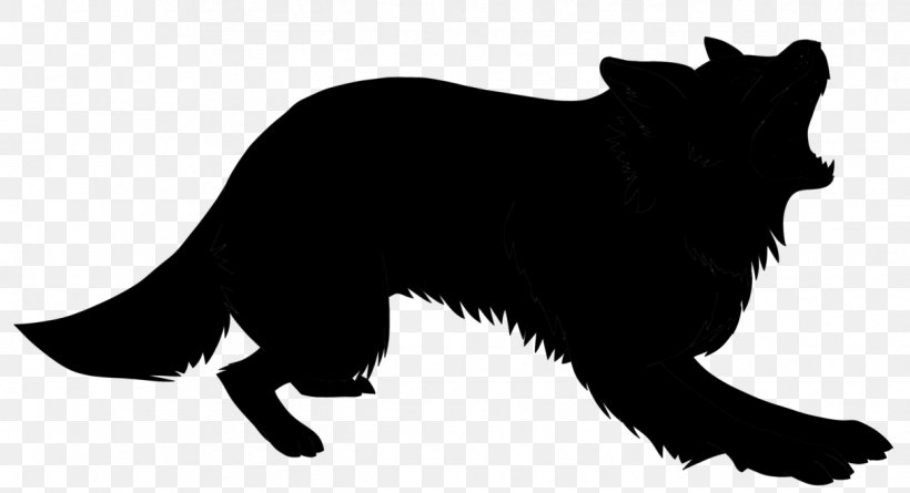 Schipperke Dog Breed Whiskers Cat Red Fox, PNG, 1213x659px, Schipperke, Black Norwegian Elkhound, Blackandwhite, Border Collie, Breed Download Free