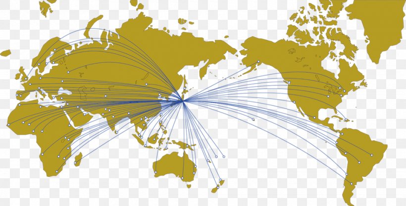 World Map Globe Vector Graphics, PNG, 960x488px, World, Blank Map, Butterfly, Cartography, Flora Download Free