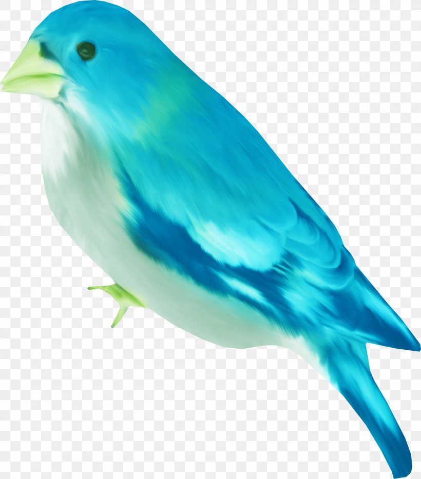 Bird Beak Yellow Cygnini White, PNG, 1891x2154px, Bird, Ardea, Beak, Blue, Bluecheeked Beeeater Download Free