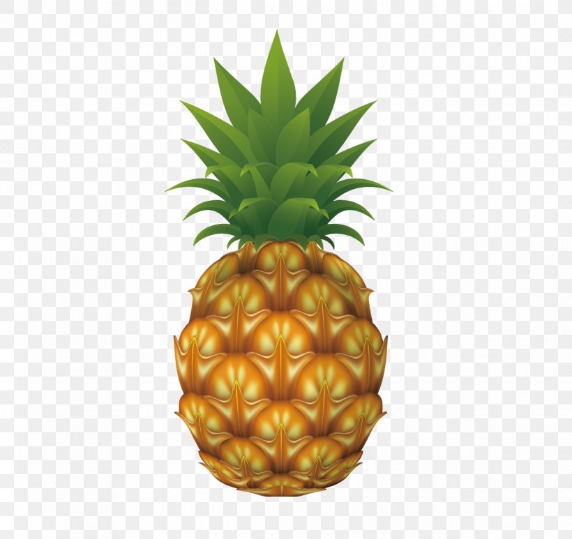 Pineapple Drawing Clip Art, PNG, 1240x1170px, Pineapple, Ananas, Bromeliaceae, Cdr, Drawing Download Free