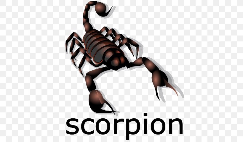 Scorpion Clip Art Image Arachnid, PNG, 640x480px, Scorpion, Arachnid, Arthropod, Data, Document Download Free