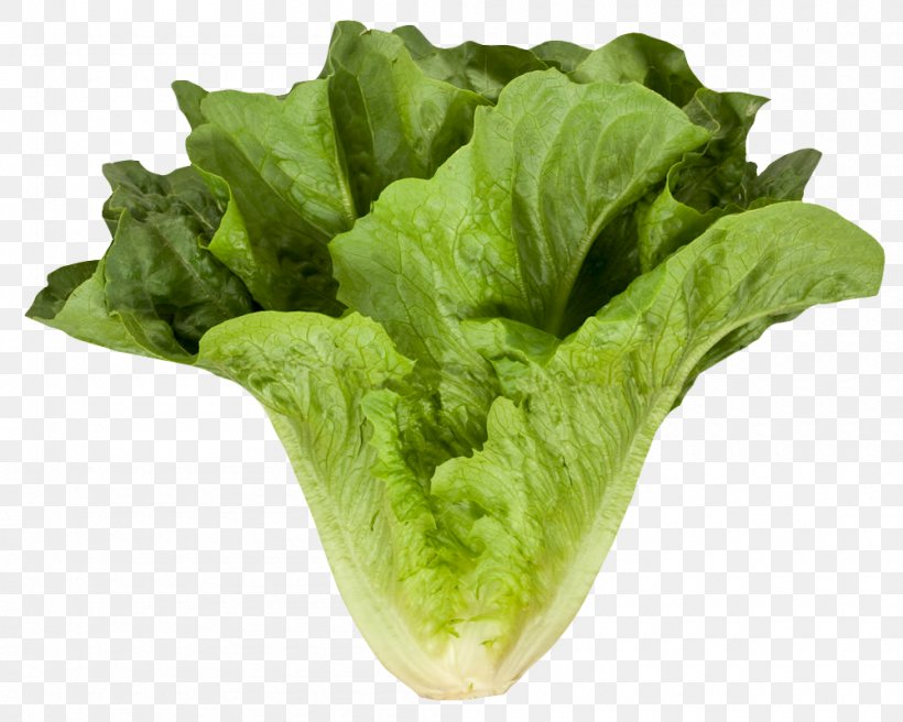 Romaine Lettuce Vegetable Leaf, PNG, 1000x800px, Romaine Lettuce, Asparagus, Basil, Cauliflower, Chicory Download Free