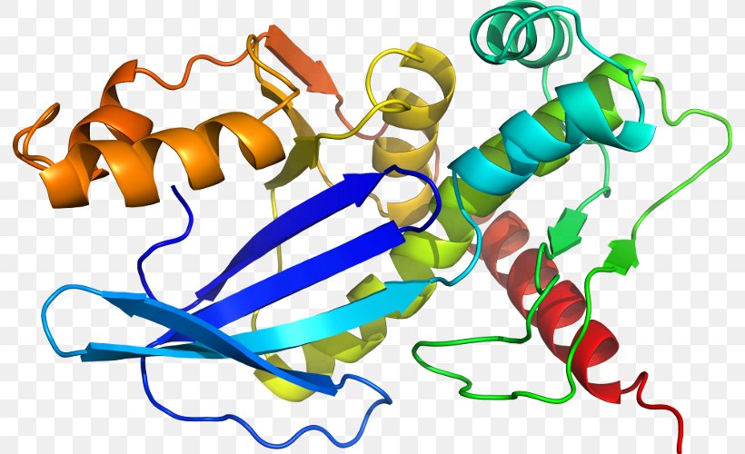 SAT1 Protein X Chromosome Gene Enzyme, PNG, 792x500px, Watercolor, Cartoon, Flower, Frame, Heart Download Free