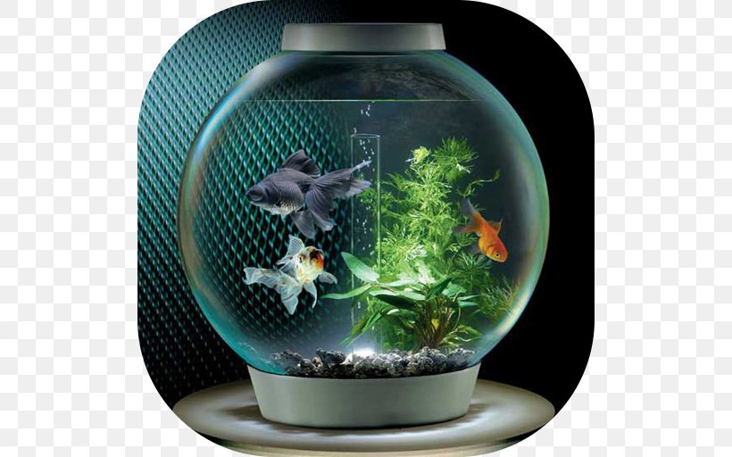 Siamese Fighting Fish Goldfish Shree Aquarium, PNG, 512x512px, Siamese Fighting Fish, Aquarium, Aquarium Filters, Aquarium Fish Feed, Aquariums Download Free