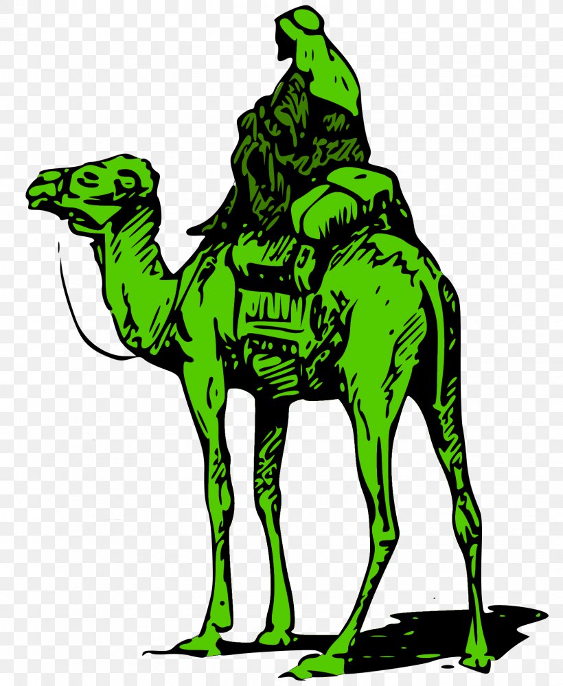 United States Silk Road Darknet Market Bitcoin, PNG, 1619x1974px, United States, Arabian Camel, Bitcoin, Camel, Camel Like Mammal Download Free