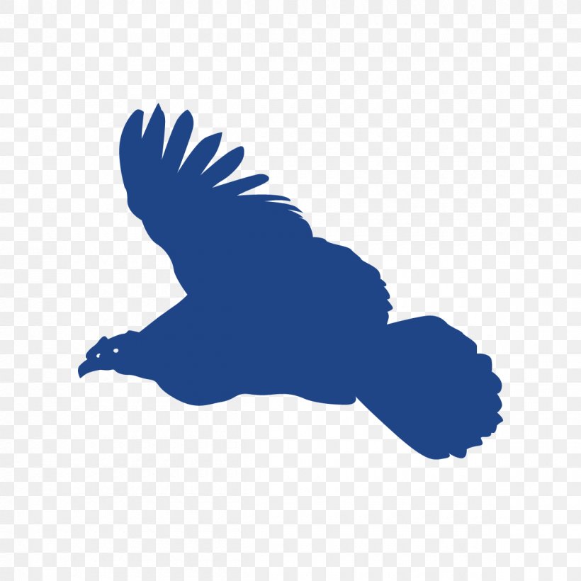 Beak Bird Of Prey Silhouette Clip Art, PNG, 1200x1200px, Beak, Bird, Bird Of Prey, Black, Black And White Download Free