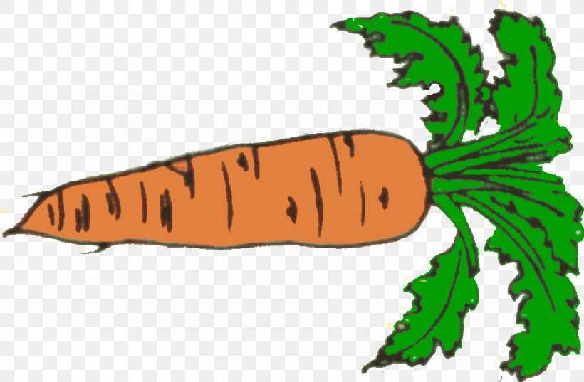 Carrot Download Clip Art, PNG, 911x597px, Carrot, Artwork, Cartoon, Document, Food Download Free