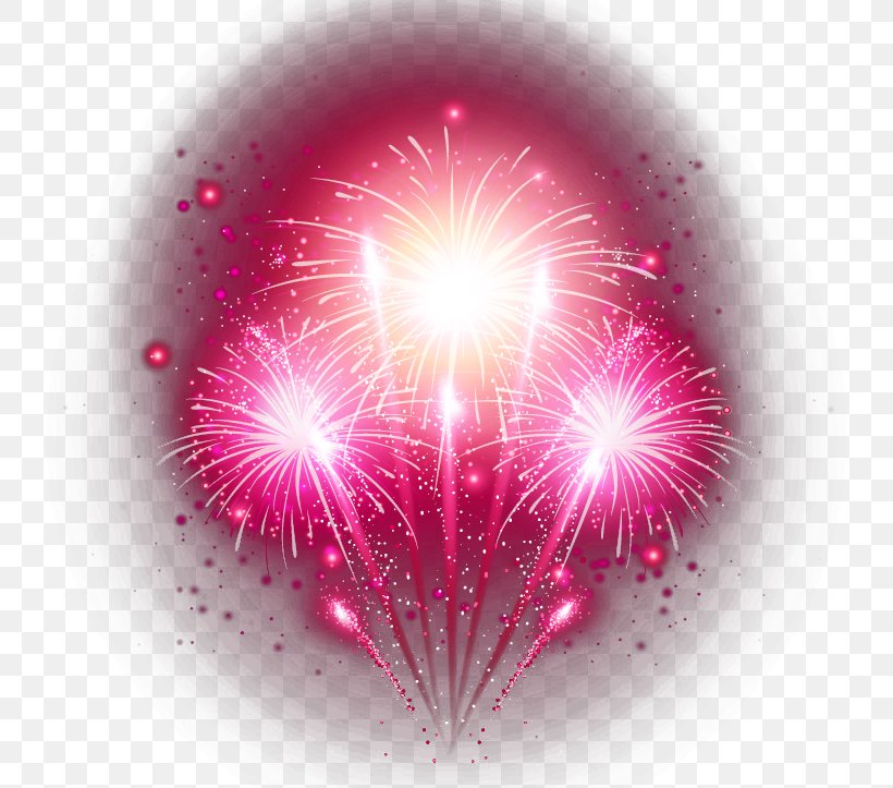 Fireworks Festival, PNG, 800x723px, Fireworks, Artificier, Festival, Firecracker, Heart Download Free
