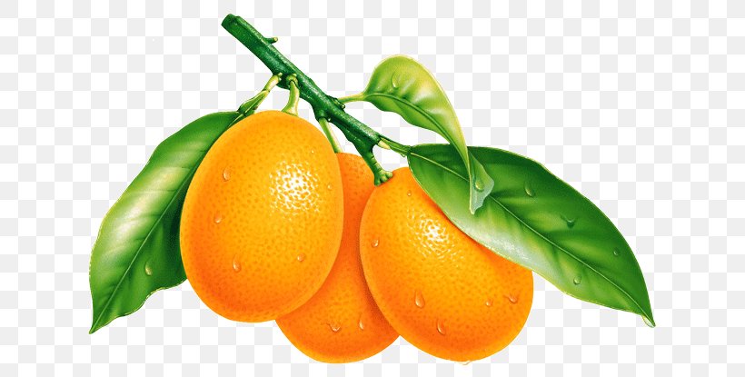 Fruit Orange Desktop Wallpaper, PNG, 648x415px, Fruit, Bitter Orange, Calamondin, Citric Acid, Citrus Download Free