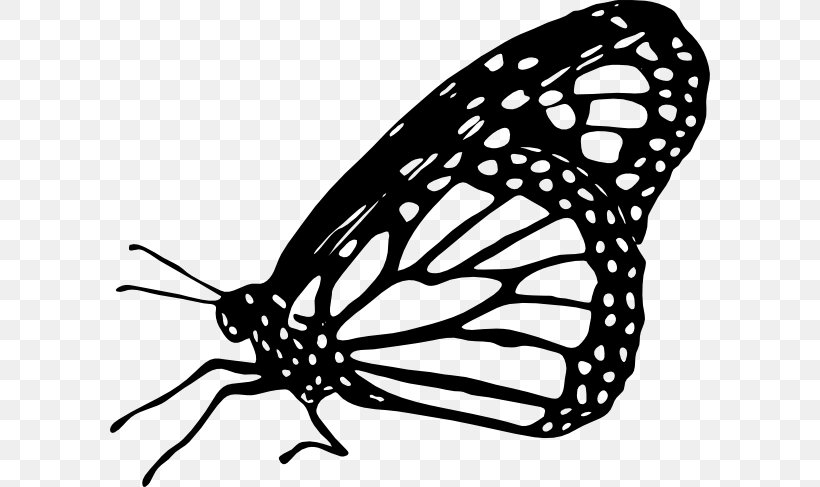 Monarch Butterfly Drawing Clip Art, PNG, 600x487px, Butterfly, Arthropod, Black And White, Brush Footed Butterfly, Color Download Free