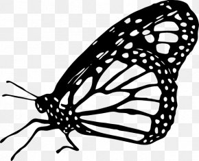 Monarch Butterfly Outline Drawing Clip Art, PNG, 600x581px, Butterfly