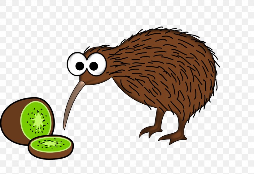 New Zealand Bird Animation Clip Art, PNG, 1600x1101px, New Zealand, Animation, Beak, Beaver, Bird Download Free