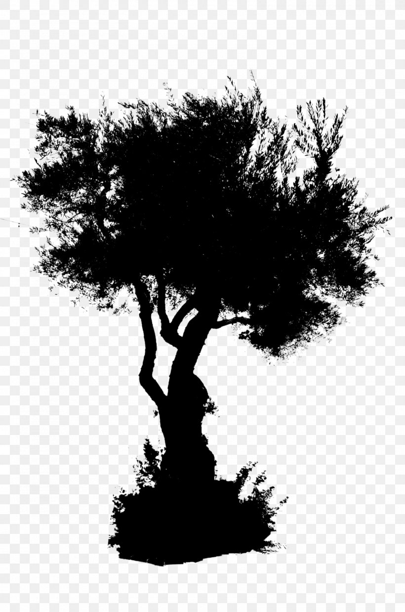 Silhouette Houseplant Sky Branching, PNG, 1600x2416px, Silhouette, Blackandwhite, Branch, Branching, Houseplant Download Free