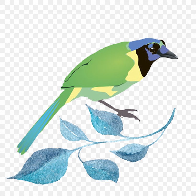 Bird Illustration, PNG, 1000x1000px, Bird, Art, Beak, Blue Jay, Drawing Download Free
